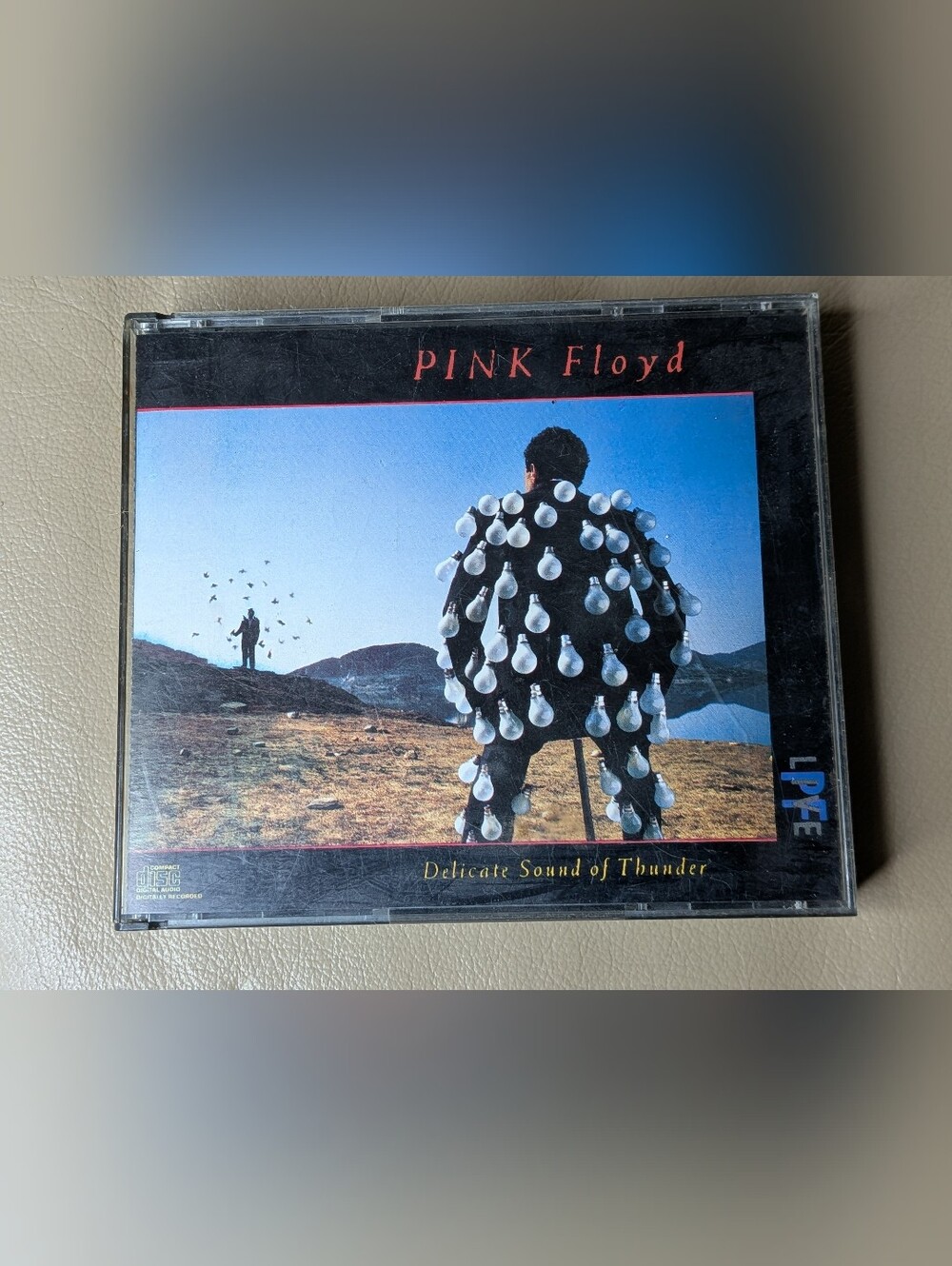 Pink Floyd Delicate Sound Of Thunder CD